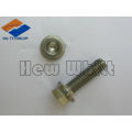 high strength GR5 titanium screw